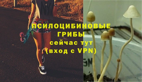 индика Воткинск