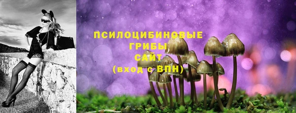 марихуана Абаза